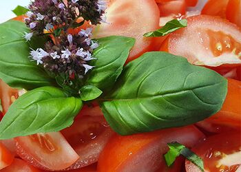 Mein alternativer Text